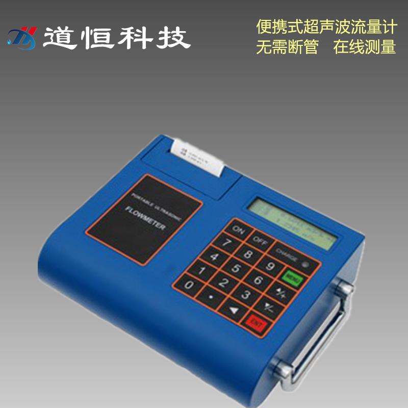 大連道盛便攜式流量計(jì)廠(chǎng)家TUF-2000P-TM-1